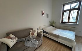 Debniki Nest
